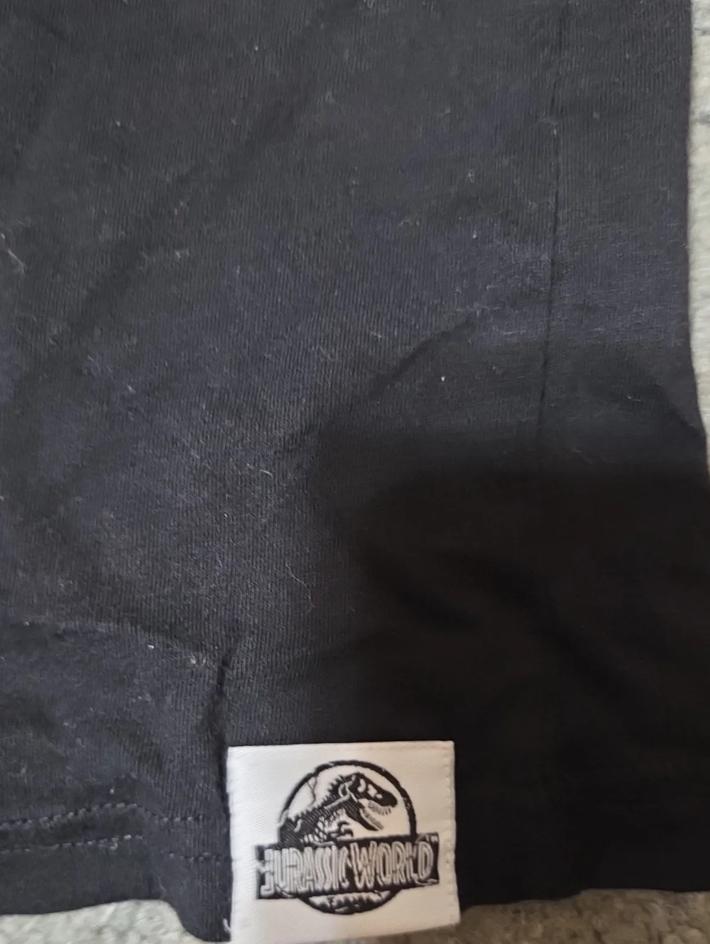 Gymboree Jurastic World 24 Black Dinosaur Graphic Tee - Black